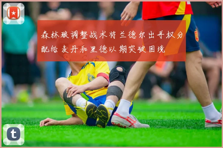 森林狼调整战术将兰德尔出手权分配给麦丹和里德以期突破困境